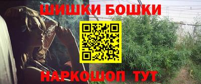 прущие грибы Новокубанск