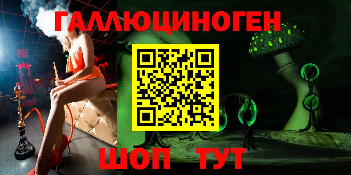 Псилоцибиновые грибы Psilocybe Аргун